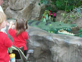 Click Here